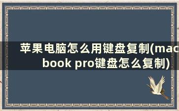 苹果电脑怎么用键盘复制(macbook pro键盘怎么复制)